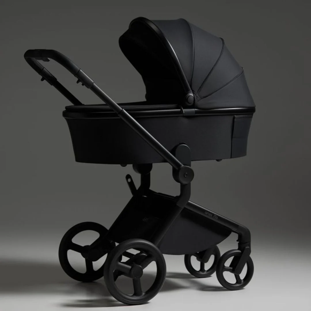 Anex® Otroški voziček 2v1 Flo Lungo - Image 10