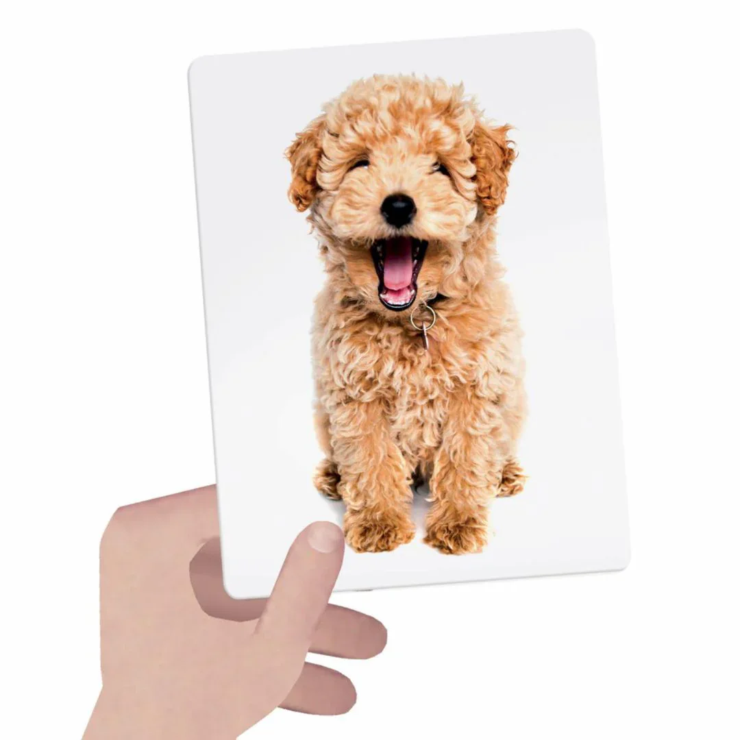 Headu® Tactile Sensory Cards - Image 3