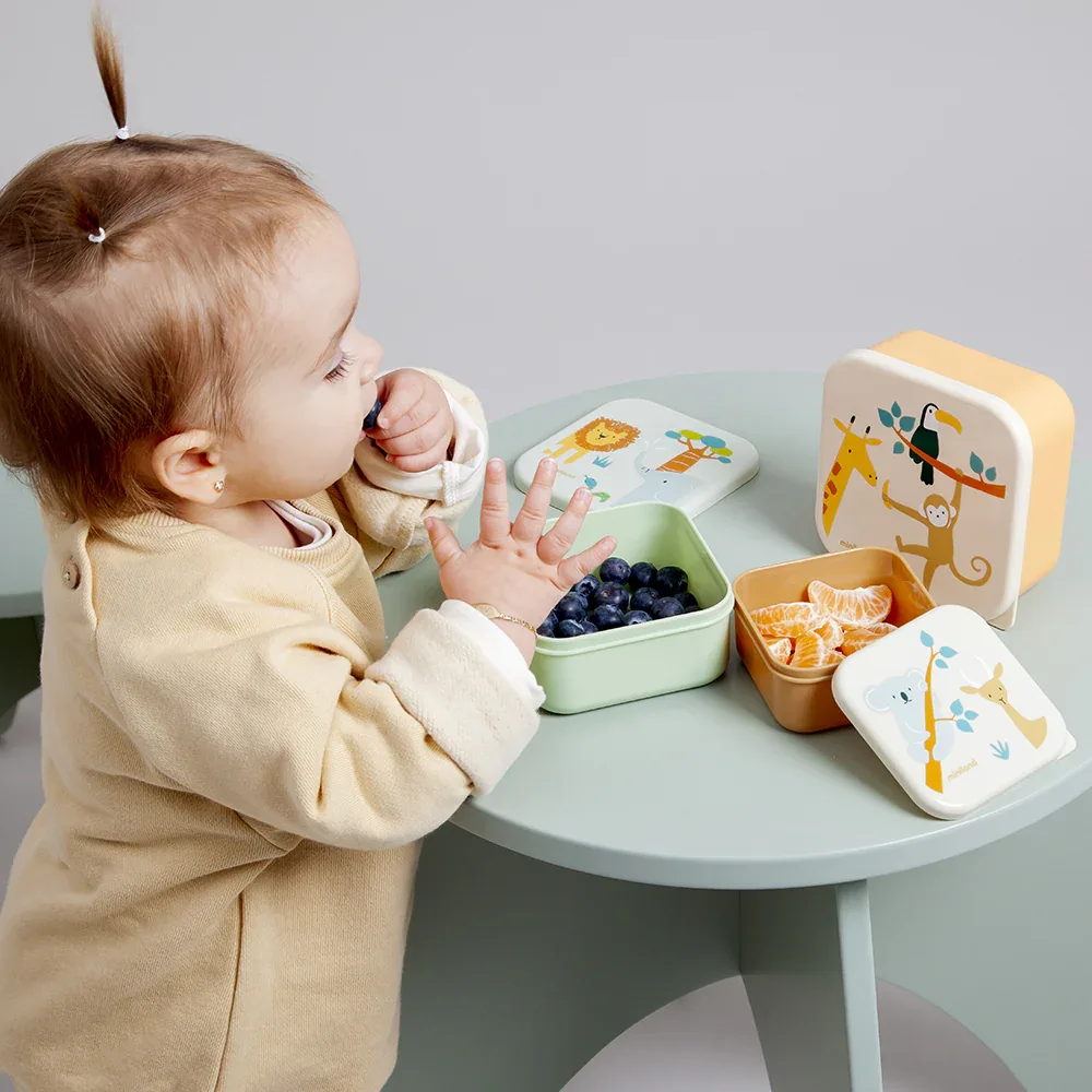 Miniland® Lunch boxes Jungle - Image 4