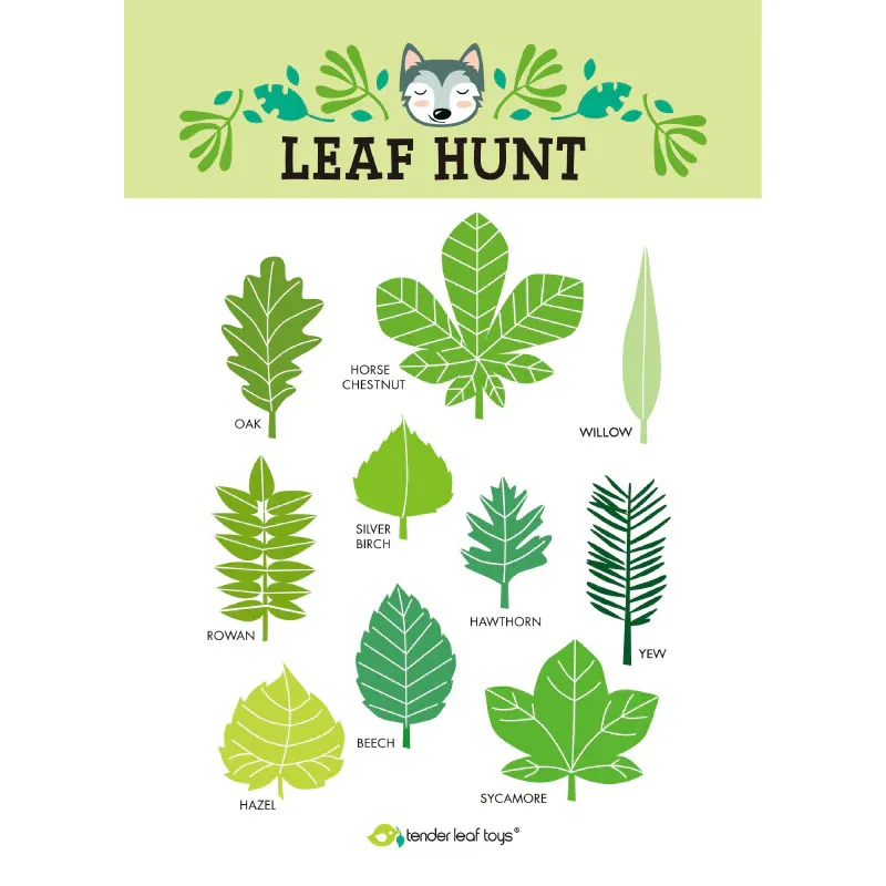 Tender Leaf Toys®  Forest trail kit - Image 8